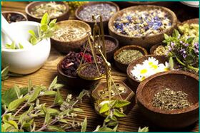 Medicinal herbs for the treatment of chronic prostatitis